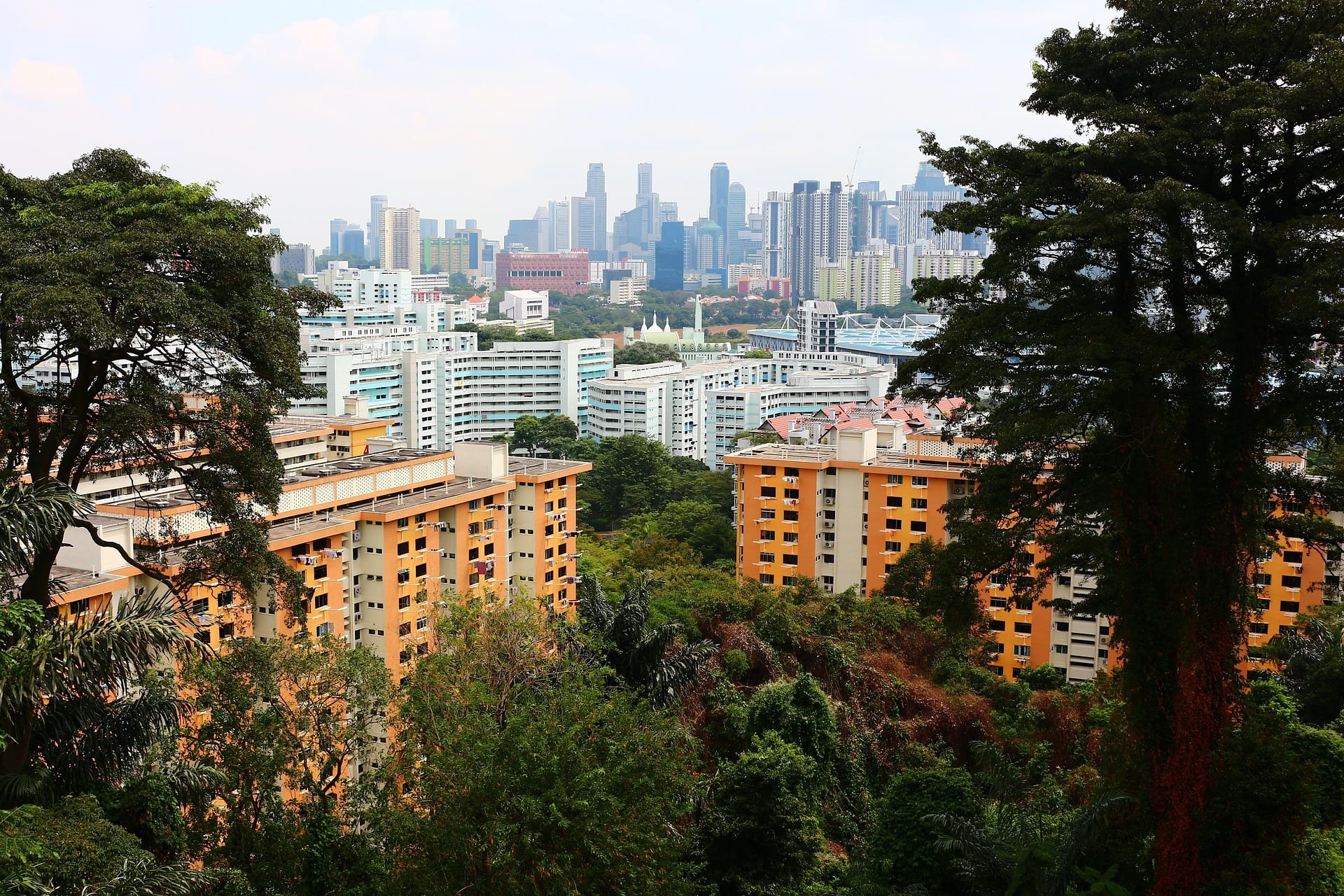 Bukit Merah / Telok Blangah HDB blocks framed by greenery, with Singapore CBD skyline behind — symbolising the Q1 2026 bifurcation between mass-market and mature-estate HDB resale